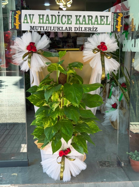 AÇILIŞ ÇIÇEĞI